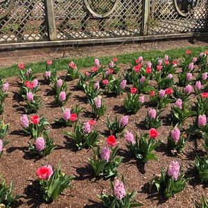 Meet your Posher, Stefanie